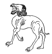 �z�E�L���E