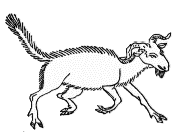 �K�W(�����낤)