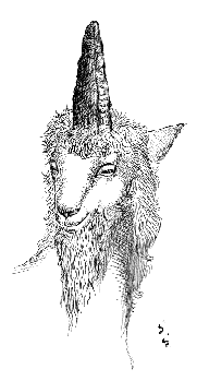 ���j�R�[��