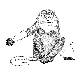 �h�D�N�����O�[��(������T��)