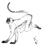 �n�k�}�[�������O�[��