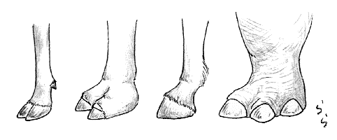 ���̂��낢��