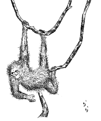 �q���̃I�����E�[�^��