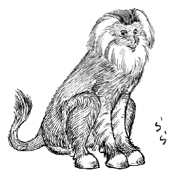 �\�N�\(�����ۂ��^�C�v)