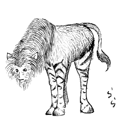 �\�N�\(�n���ۂ��^�C�v)