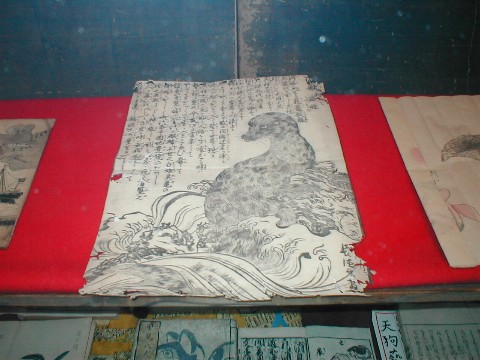 �]�ˎ���̍]�m���Ɍ��ꂽ�A�U���V