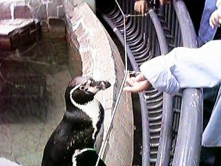 �����Ƃ�������