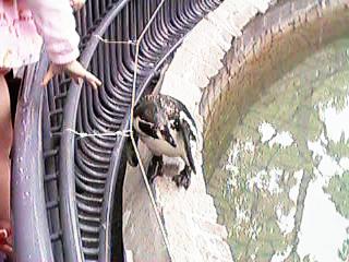 �悿�悿�Z���i�����