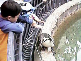 ������Ƃ�