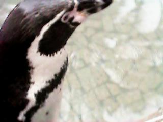 �Z���i��