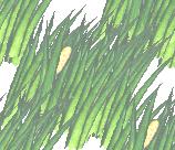 �Ҋ��i�V���E�u�j