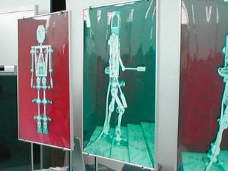 ��s�҃u�[�X�̗l�q