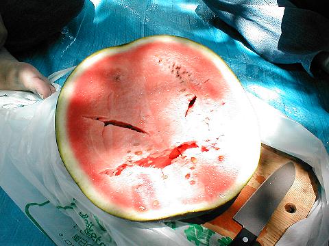 �ł񂷂��l�̔���