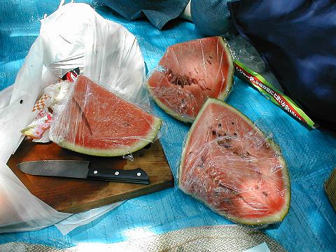 �R�������ꂽ�ł񂷂��l