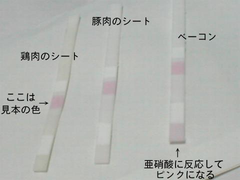 �������ʁ@�{���V�[�g�E�ؓ��V�[�g�E�x�[�R��