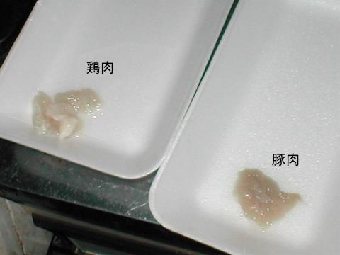 �ؓ��ƌ{���ɐ��𒍂��Łc