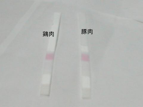 �������ʁ@�ؓ��ƌ{��