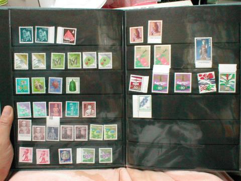 �험�i�i�؎�j