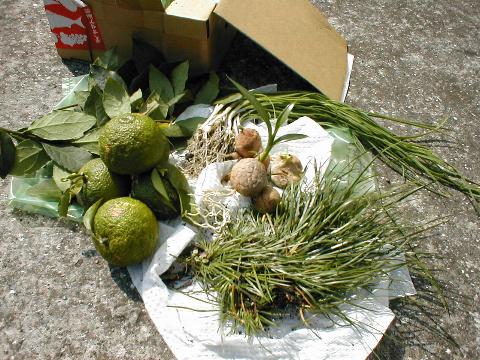 �f�G�Ȏd�Ԃ�