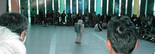 ���܂ɃA�V���ɂ����