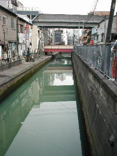 �����i��ꋞ�l����C���Ɍ������ĎB�e�j