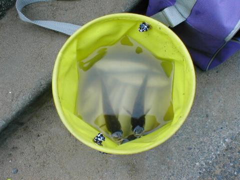 �ނ肠����ꂽ�{�������