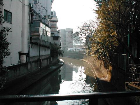 ���̗����