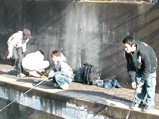 �ނ������q������