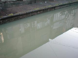 9���̗����