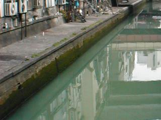 8���̗����