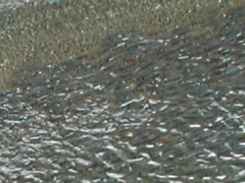 �{���̑�Q�i�g��j