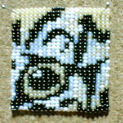 �r�[�Y�D��̌�