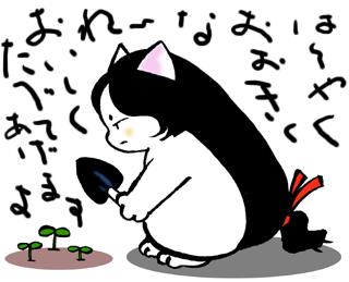 ���b�l�A���N���K�[�f�j���O�ɂ�������