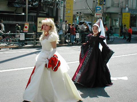 �����F�̔��̉����Ɩ���