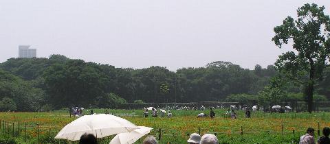 �͂邩�ɉ��ރ����E�[�c����