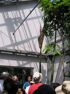 �A�����t�H�t�@���X�E�M�K�X