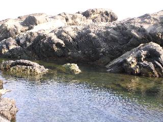 �郖���̊��