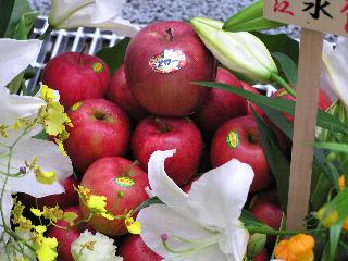 ���ɂ͂���Ȃ̂�