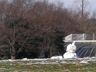 �������ɂ��������ɂ��Ⴞ���