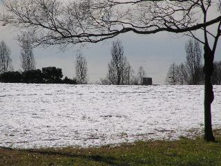 ��̐�������