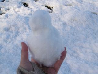 �ӊO�Ə�����