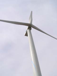 �����猩������