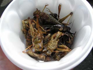 �C�i�S�i�H�j���u�ߕ�