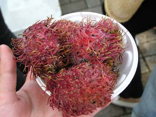 �����u�[�^��