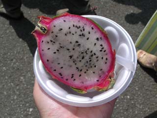 �h���S���t���[�c