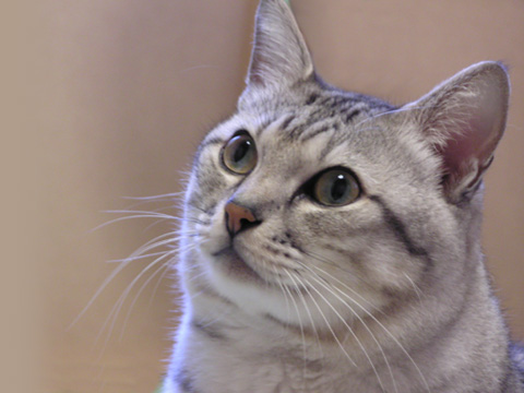 �I���T�}����