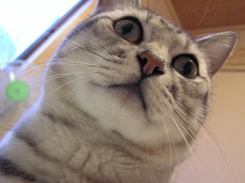 �I���T�}����