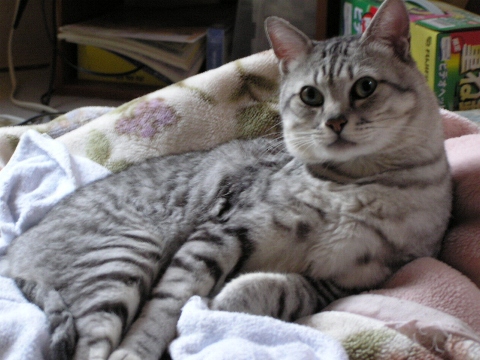 �I���T�}����