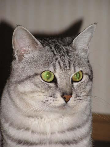 �I���T�}����