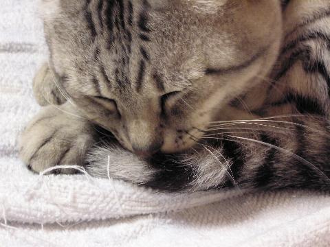 �I���T�}����